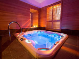 Hotel Best Western Hotel Genio cazare Torino