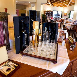 Hotel Hotel Gallia cazare Pianezza