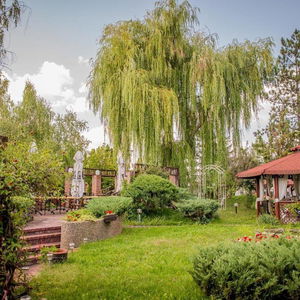 Hotel Hotel Senator cazare Timisoara