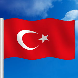 Sejur Palm Inn Hotel vacanta Izmir