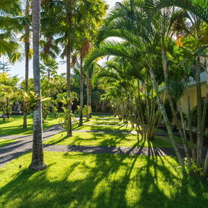 Sejur Amatara Agung Raka vacanta Ubud