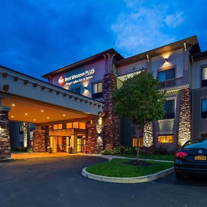 Hotel Best Western Plus Finger Lakes Inn & Suites cazare Cortland