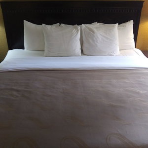 Hotel Quality Inn & Suites Fairgrounds cazare Syracuse