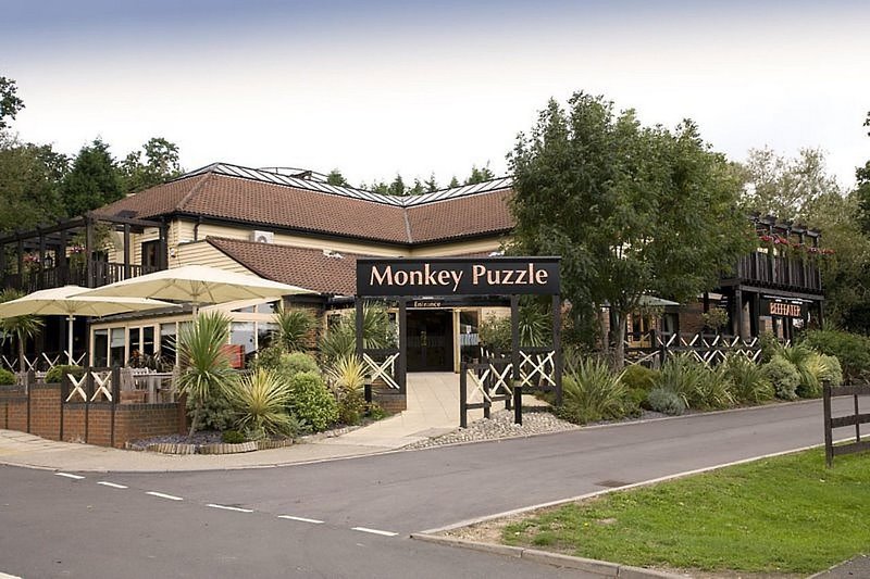 Premier Inn Chessington