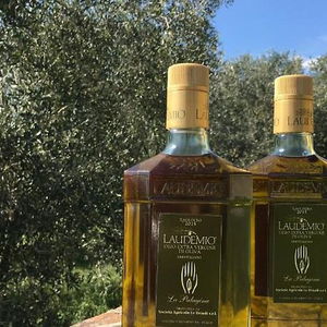 Hotel Palagina La Dimora cazare Figline Valdarno