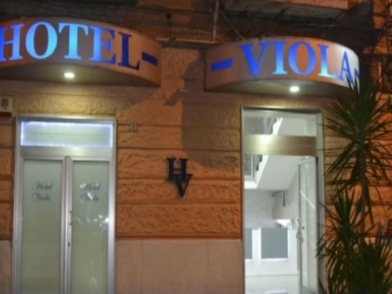Viola