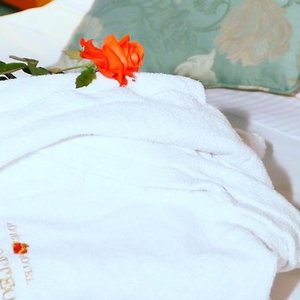 Sejur Motel Visconteo vacanta Binasco