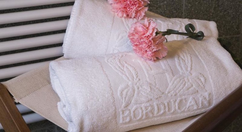 Hotel Al Borducan