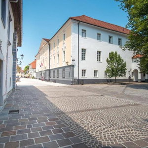 Hotel Vila Radolca cazare Radovljica