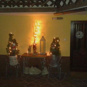 Hotel Apartments Olip cazare Bled