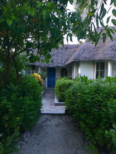 Driftwood Beach Lodge