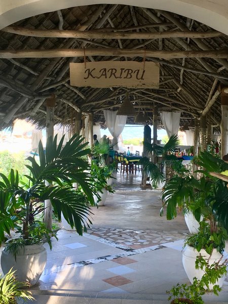Driftwood Beach Lodge