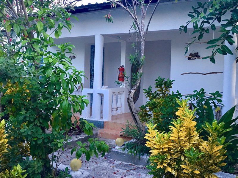 Driftwood Beach Lodge