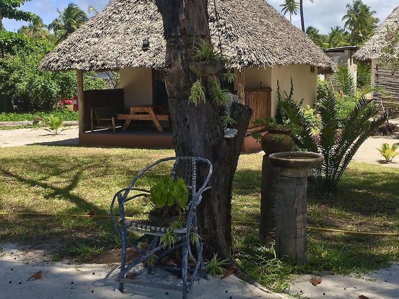 Driftwood Beach Lodge