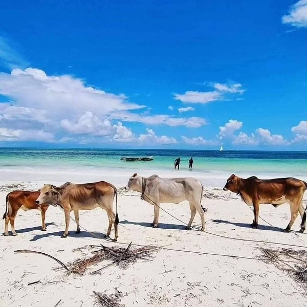 Sipano Beach Lodge