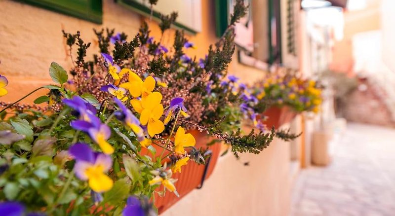 Hotel Rooms Sotto I Volti