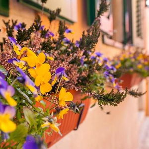 Hotel Rooms Sotto I Volti cazare Rovinj