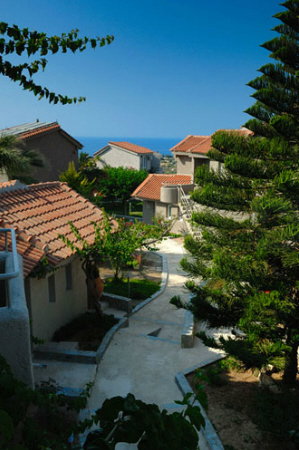 Paradise Island Villas