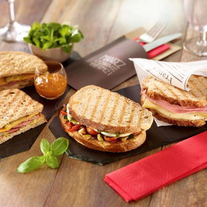Hotel Hôtel Ibis Lyon Est Bron cazare Bron
