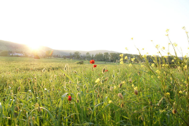 Hotel La Casa Di Campagna