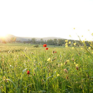 Hotel La Casa Di Campagna cazare Magione