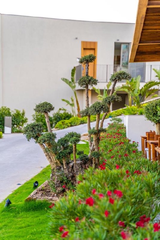 Hotel Mirada Exclusive Hotel Bodrum