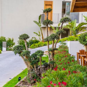 Hotel Mirada Exclusive Hotel Bodrum cazare Bodrum
