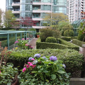 Hotel Rosedale Condominiums cazare Vancouver