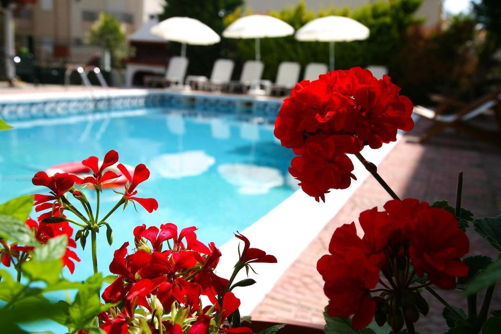 Hotel Olympus Hotel Villa Drosos