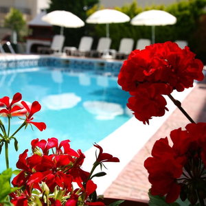 Hotel Olympus Hotel Villa Drosos cazare Litochoro