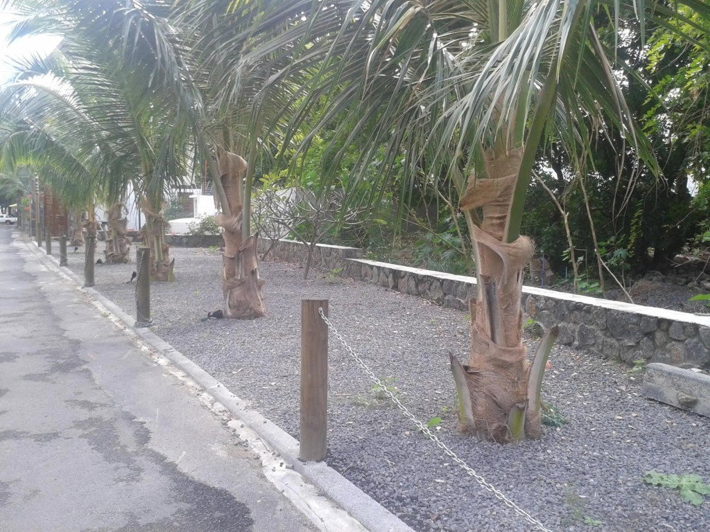 Dodola Lodge
