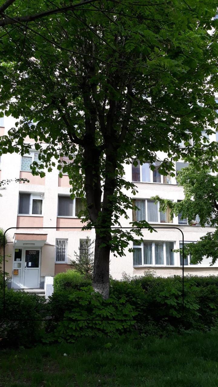 Hotel Anna Apartment