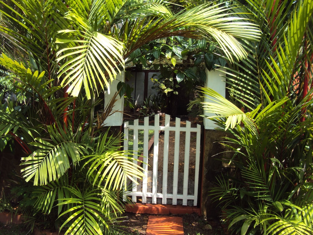 Hotel Angel Villa - Exotic Holidays In Private Villa Near Beach