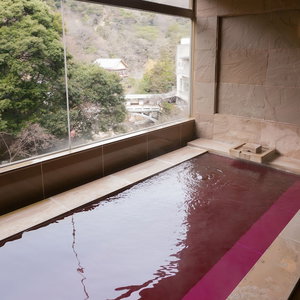 Hotel Gekkoen Kourokan cazare Kobe