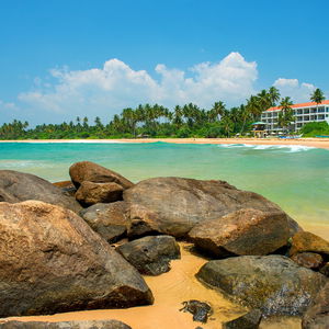 Hotel Shinagawa Beach cazare Balapitiya