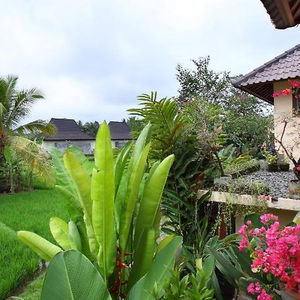 Hotel Satori Villas cazare Ubud