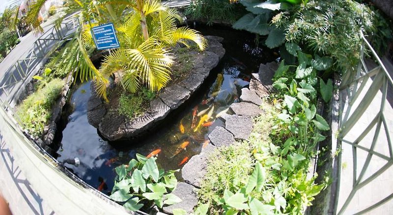 Casa Florida