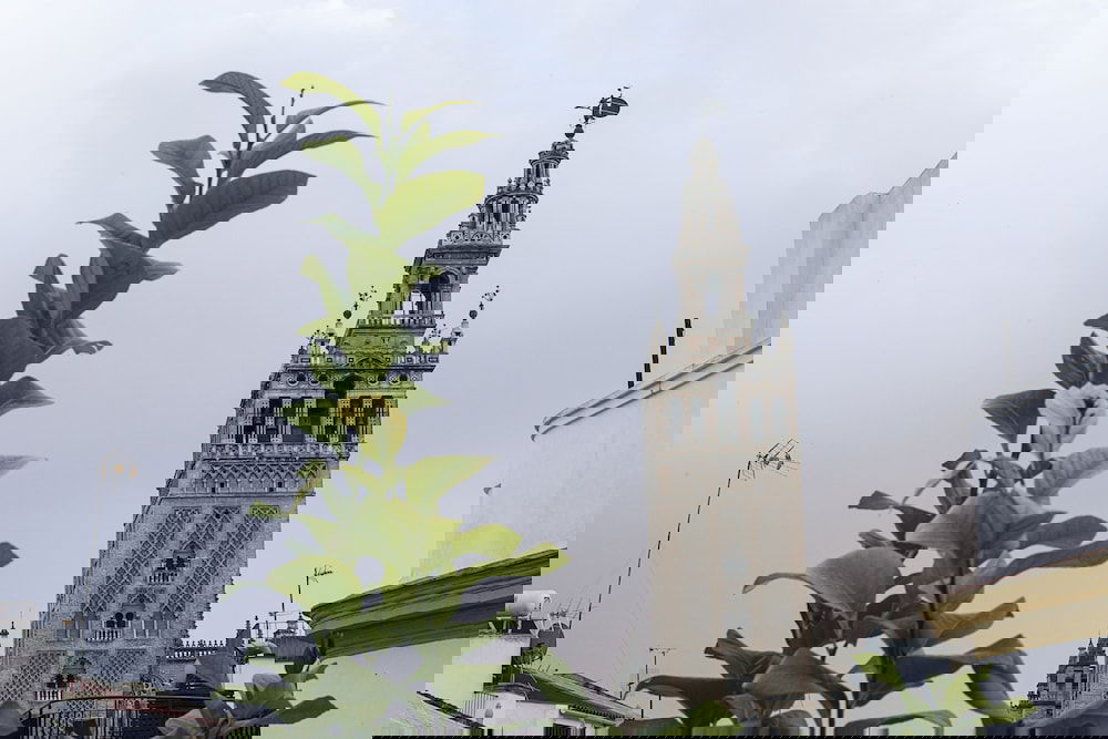 Hotel Welldone Cathedral