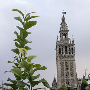 Sejur Welldone Cathedral vacanta Sevilla
