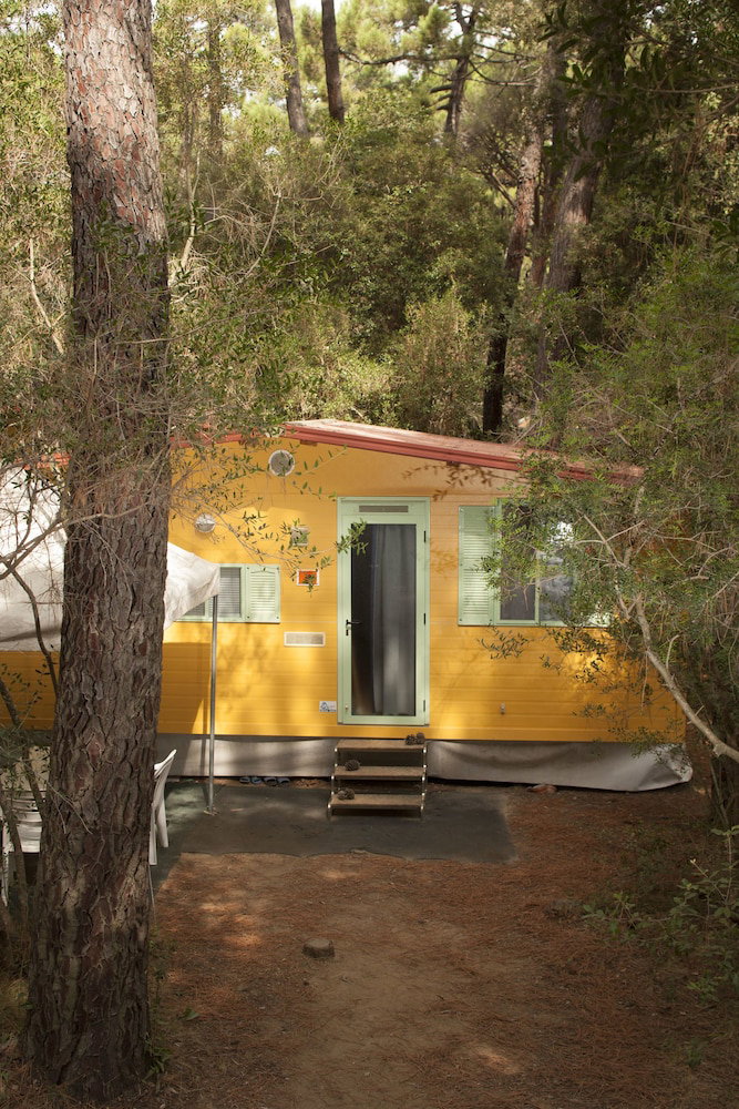 Puntala Camp & Resort