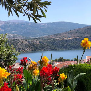 Hotel Liostasi Retreat Kefalonia cazare Argostolion