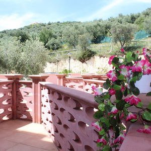 Hotel Hotel Delle More cazare Vieste