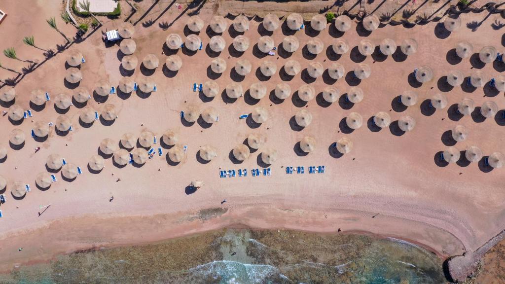 dal travel Blend Club Aqua Resort