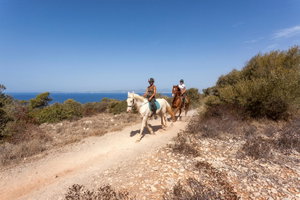 Hotel Sun Club El Dorado - All Inclusive cazare Cala Blava
