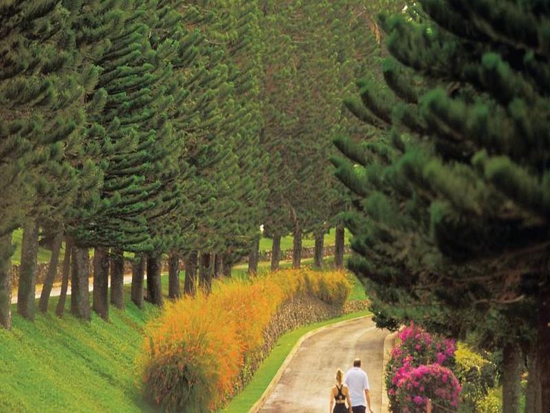 The Kapalua Villas Maui By Outrigger