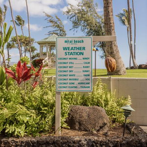 Hotel Maui Beach Hotel cazare Kahului