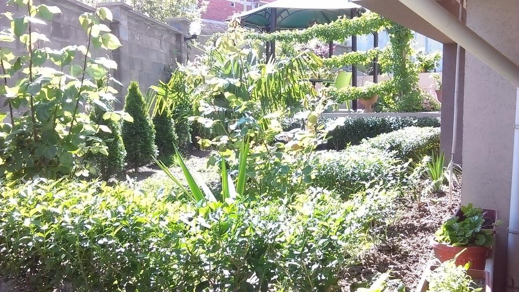 Hotel Venis Hotel