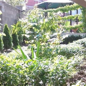 Hotel Venis Hotel cazare Sozopol