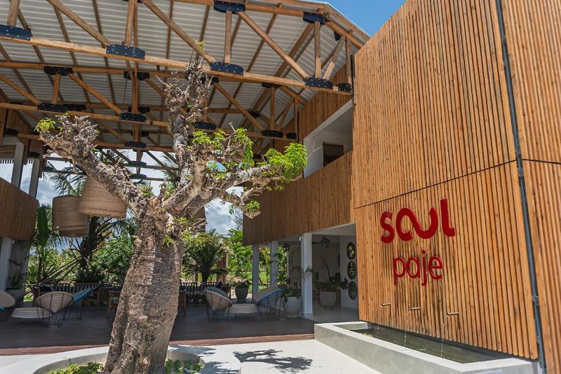 Soul Paje Managed By Toc