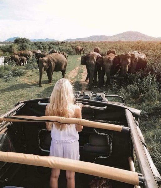 Hotel Greenwood Udawalawa Safari Resort